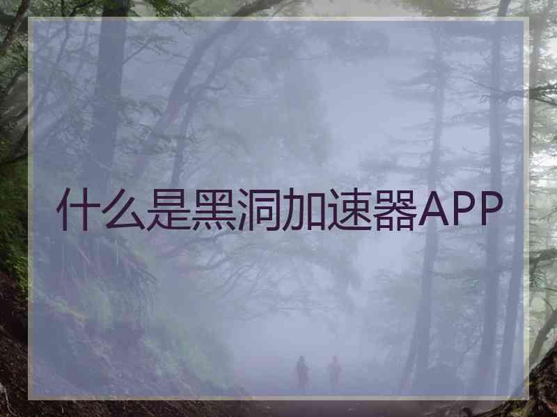 什么是黑洞加速器APP