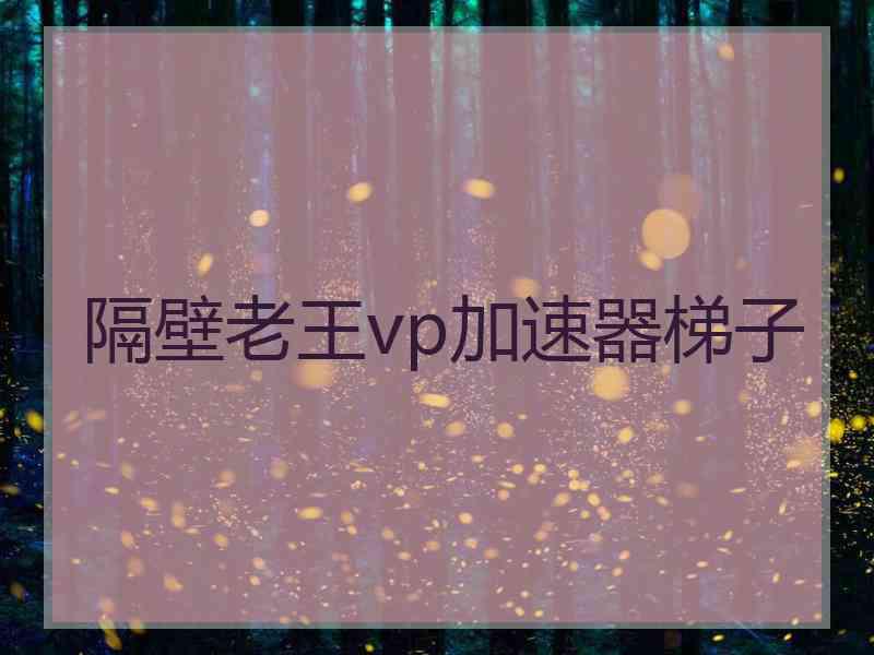 隔壁老王vp加速器梯子