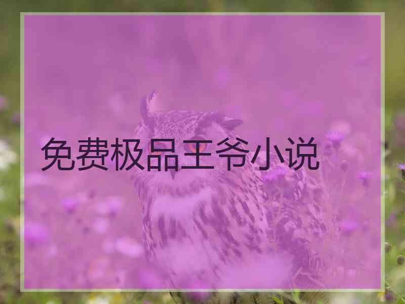 免费极品王爷小说