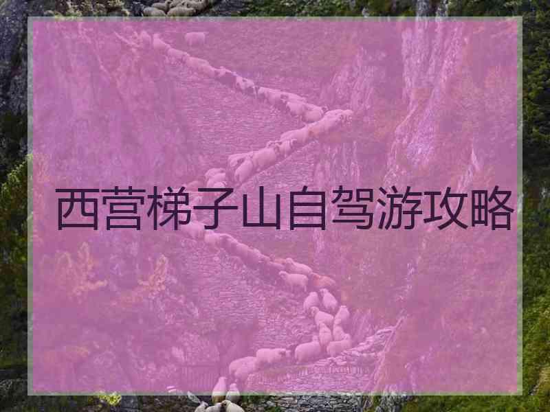 西营梯子山自驾游攻略