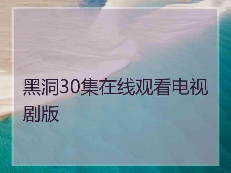 黑洞30集在线观看电视剧版