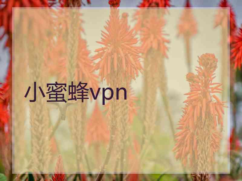 小蜜蜂vpn