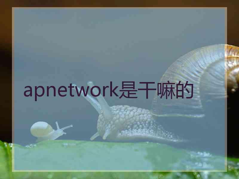 apnetwork是干嘛的