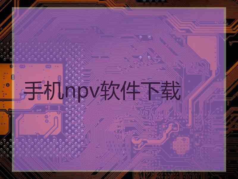 手机npv软件下载