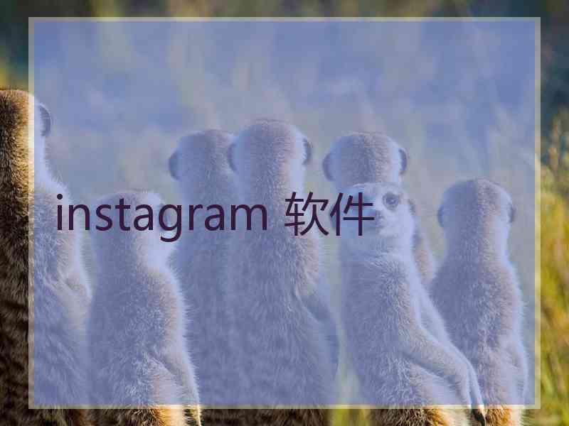 instagram 软件