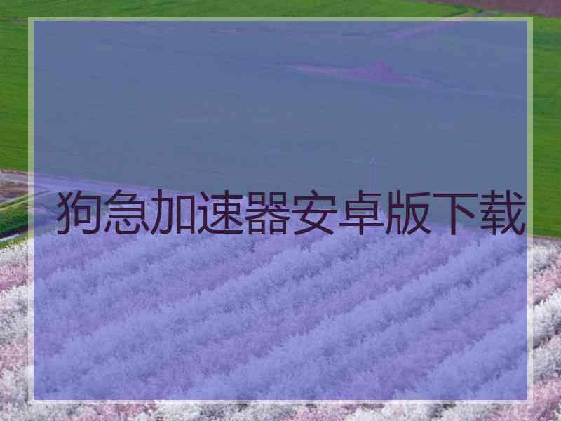 狗急加速器安卓版下载