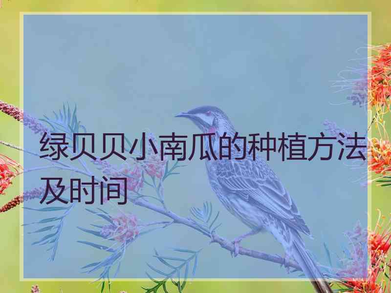 绿贝贝小南瓜的种植方法及时间