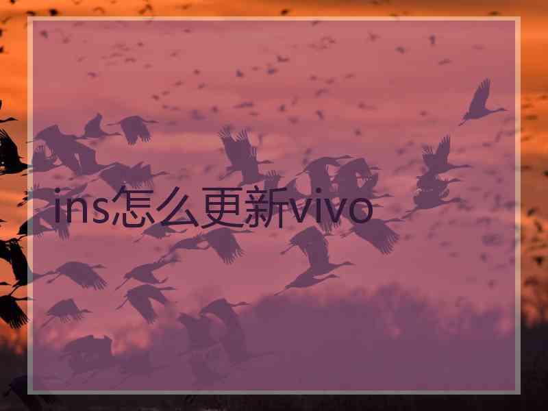 ins怎么更新vivo