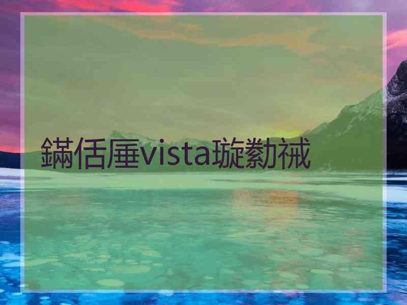 鏋佸厜vista璇勬祴