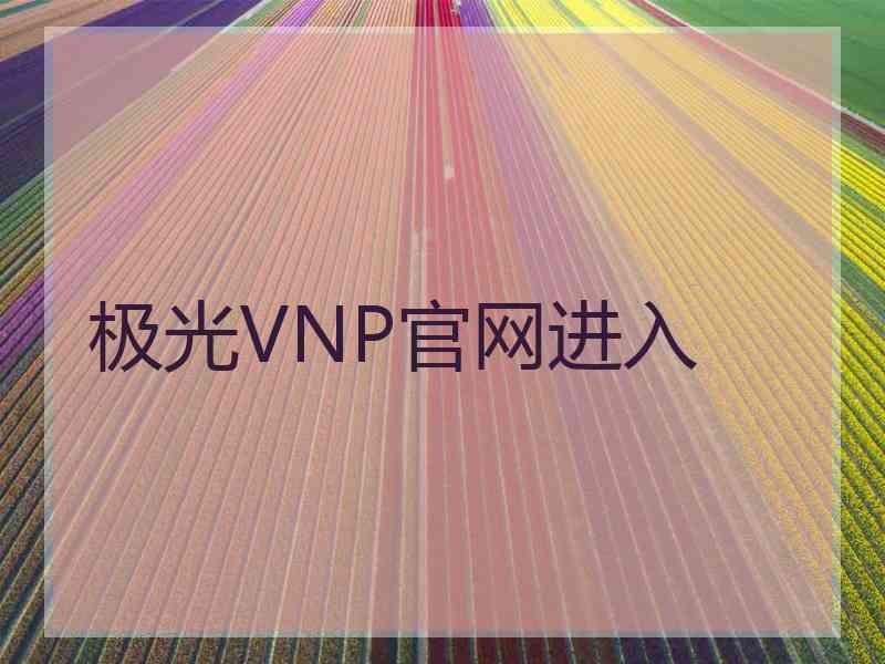 极光VNP官网进入