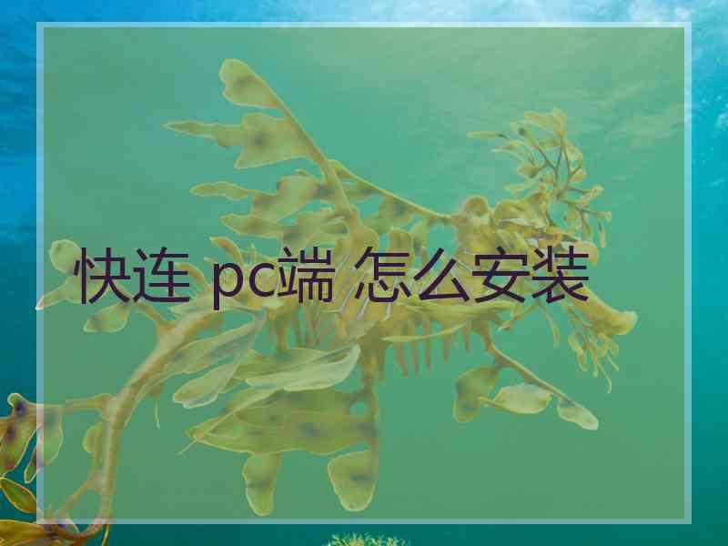 快连 pc端 怎么安装