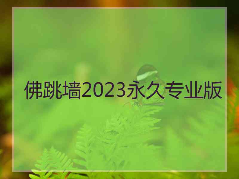 佛跳墙2023永久专业版