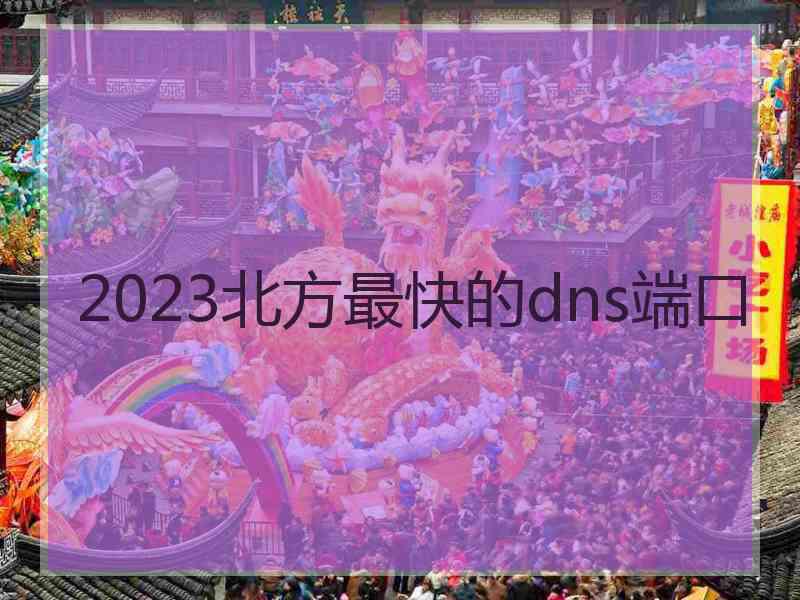 2023北方最快的dns端口