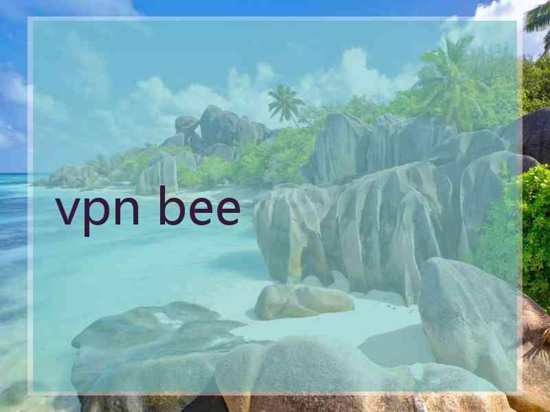 vpn bee