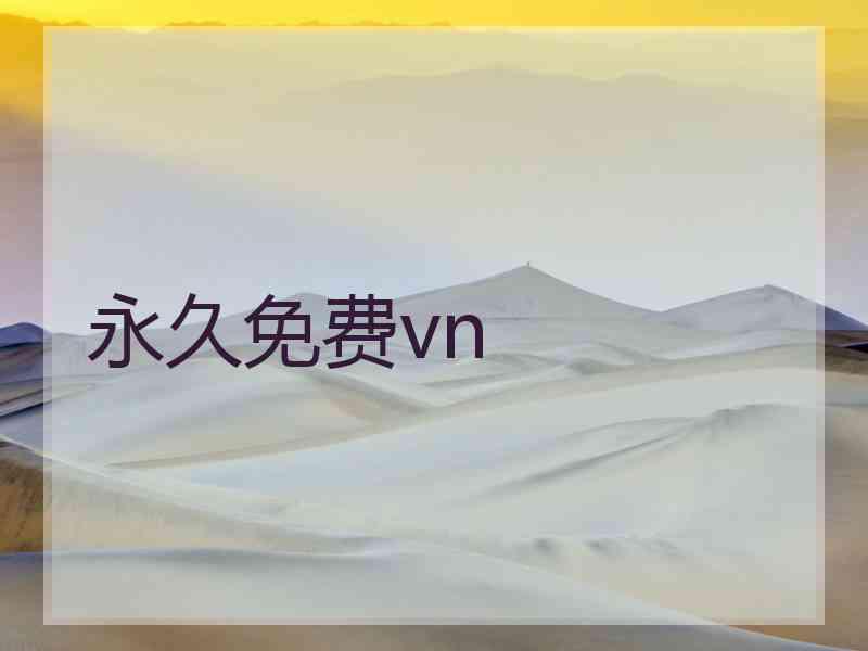 永久免费vn