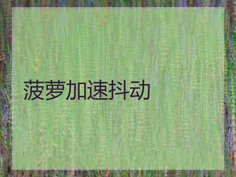 菠萝加速抖动