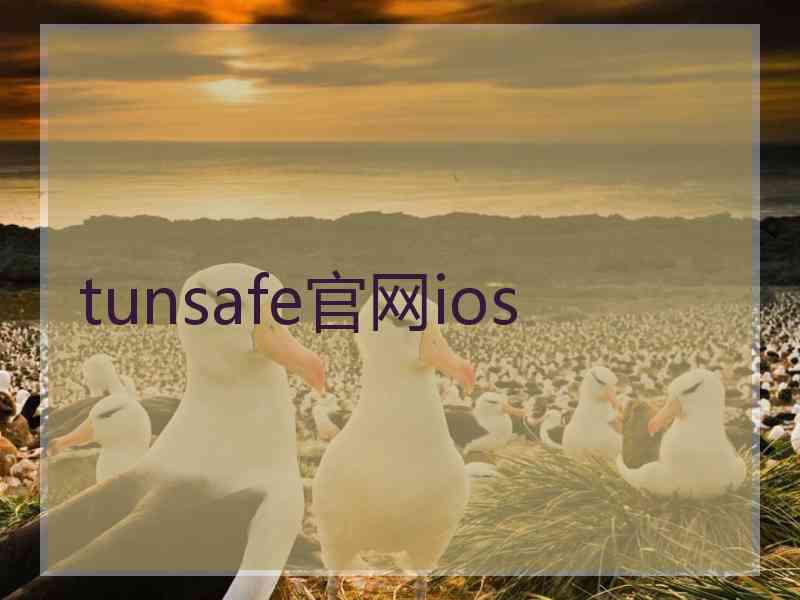 tunsafe官网ios