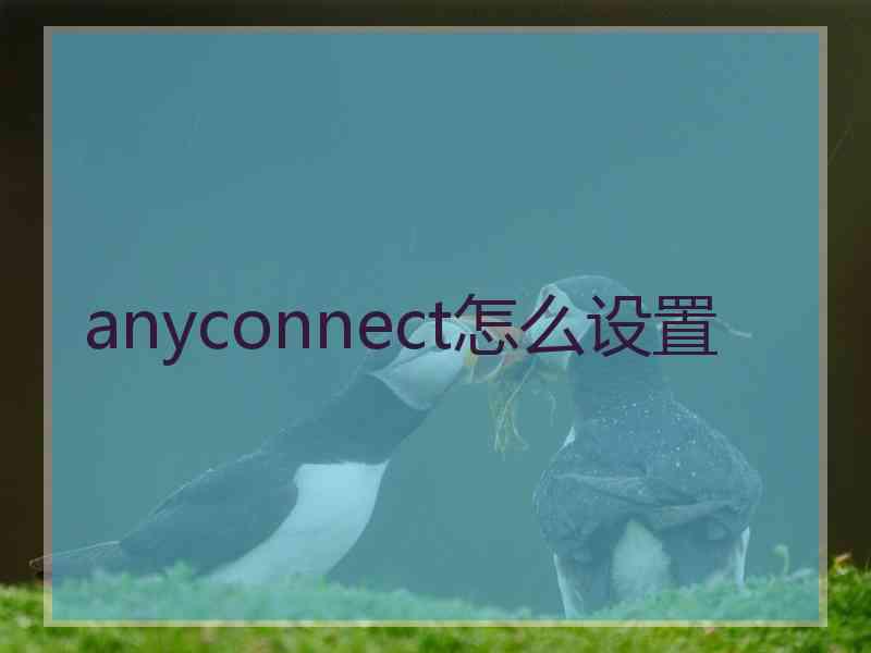 anyconnect怎么设置