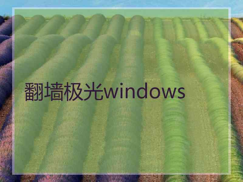 翻墙极光windows