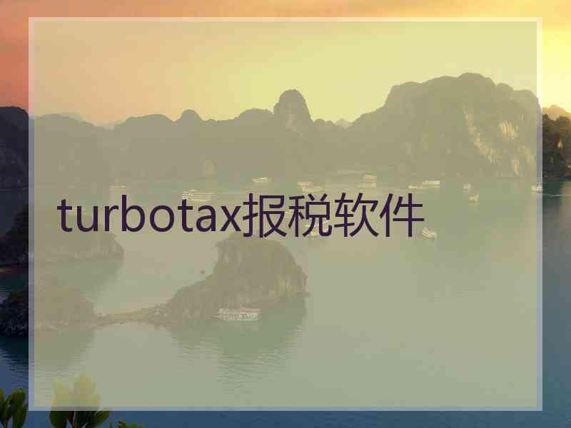 turbotax报税软件