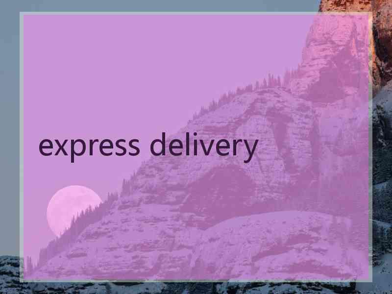 express delivery