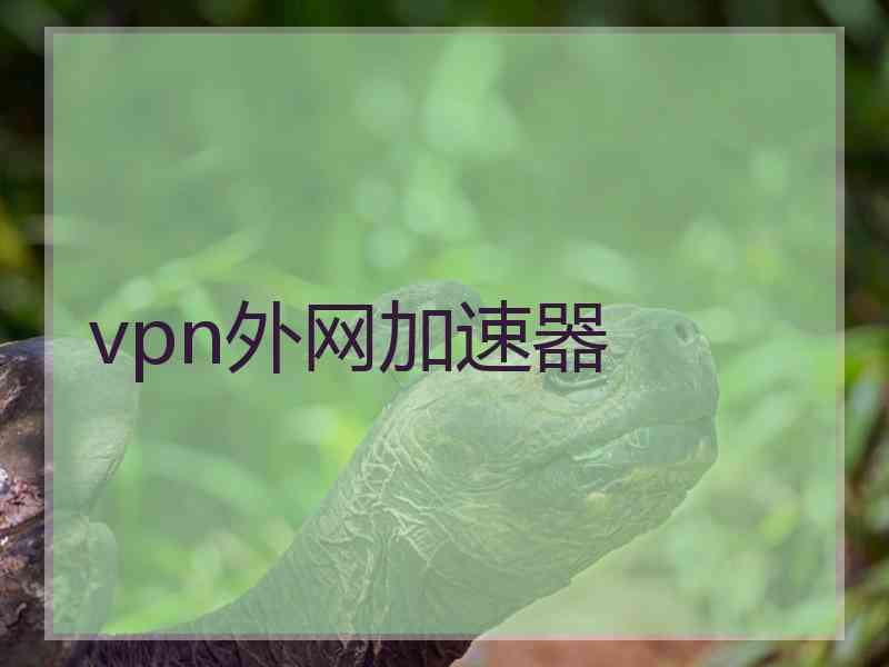 vpn外网加速器