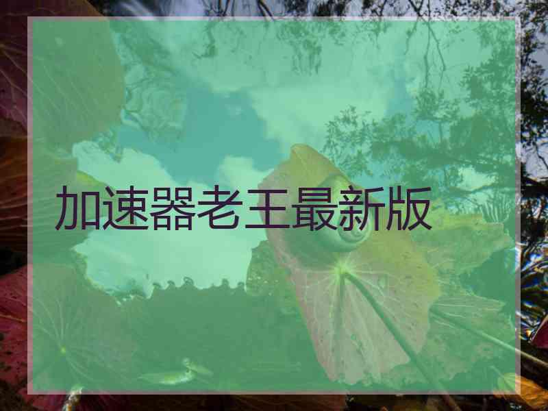 加速器老王最新版