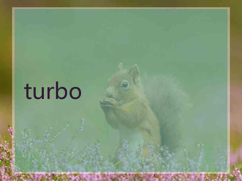 turbo