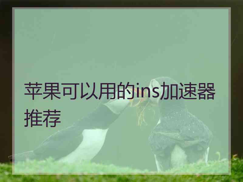 苹果可以用的ins加速器推荐