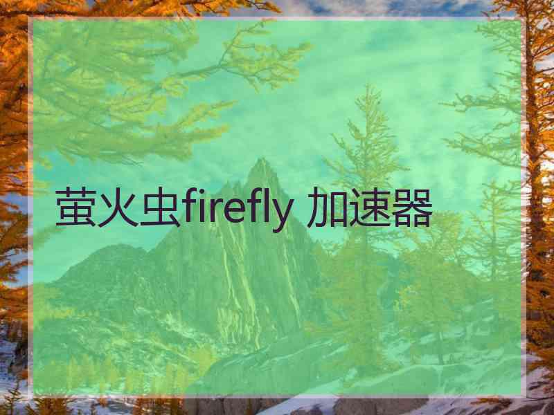 萤火虫firefly 加速器