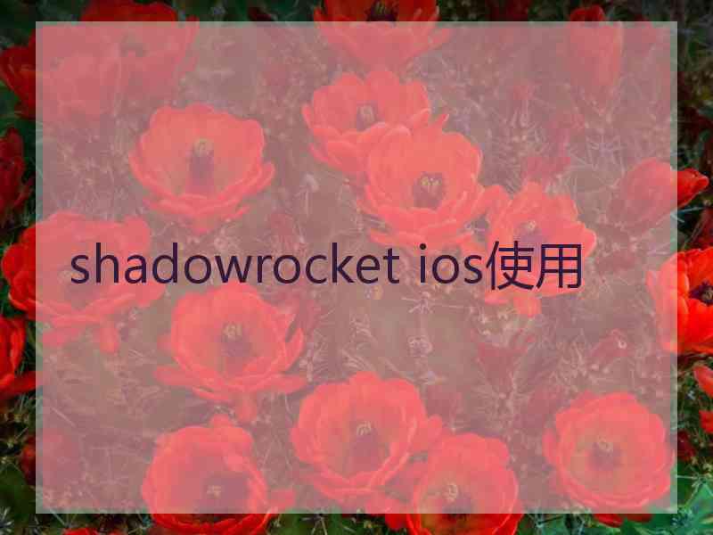 shadowrocket ios使用