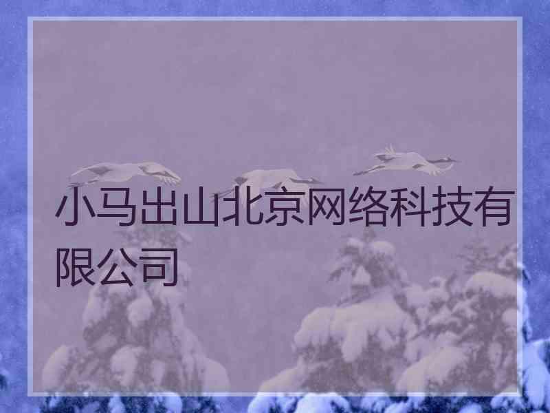 小马出山北京网络科技有限公司