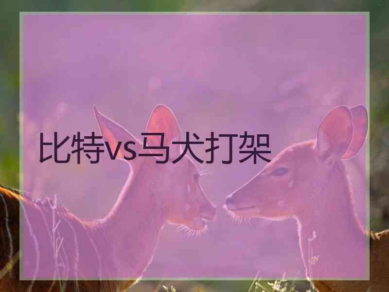 比特vs马犬打架