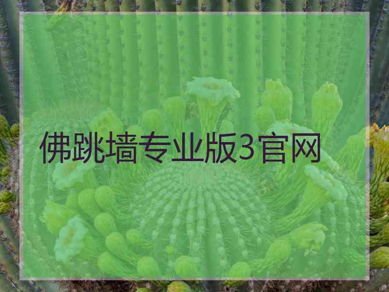 佛跳墙专业版3官网