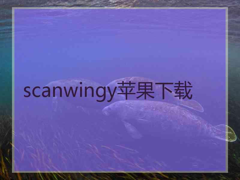 scanwingy苹果下载