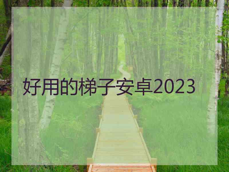 好用的梯子安卓2023