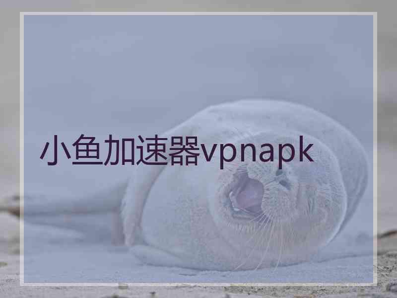 小鱼加速器vpnapk