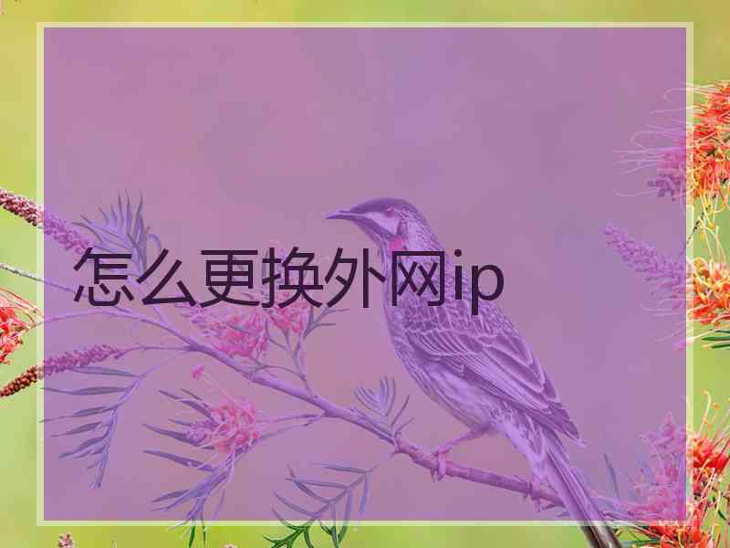 怎么更换外网ip