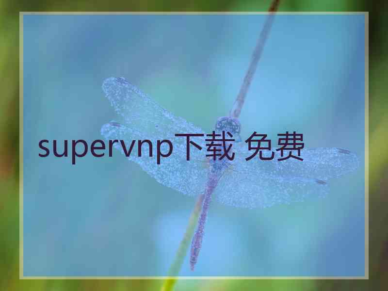 supervnp下载 免费