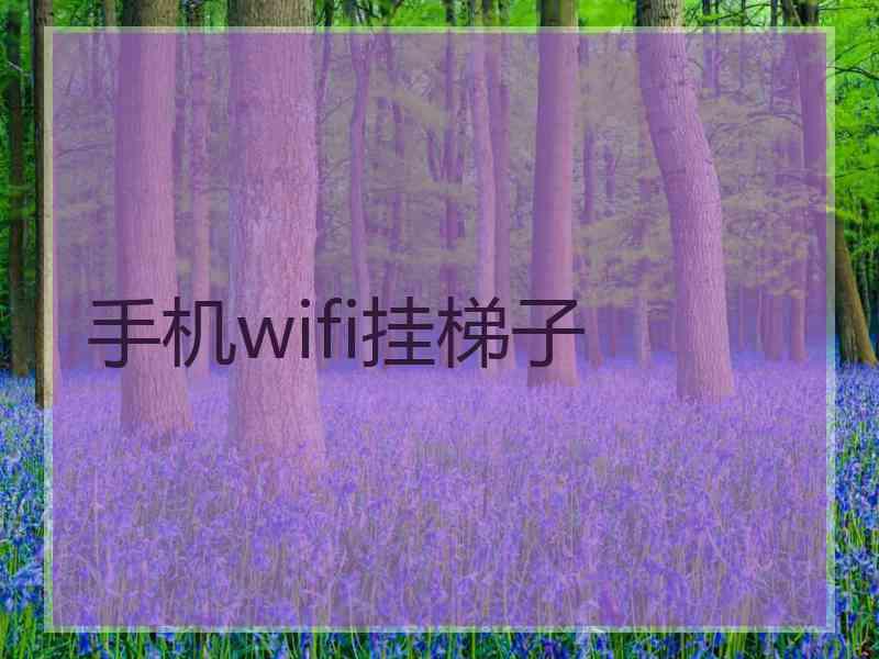 手机wifi挂梯子