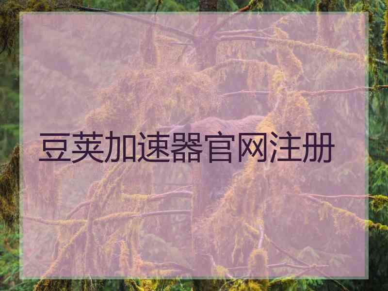 豆荚加速器官网注册