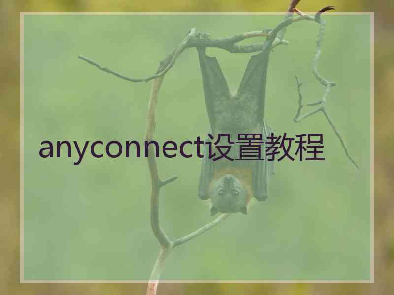 anyconnect设置教程