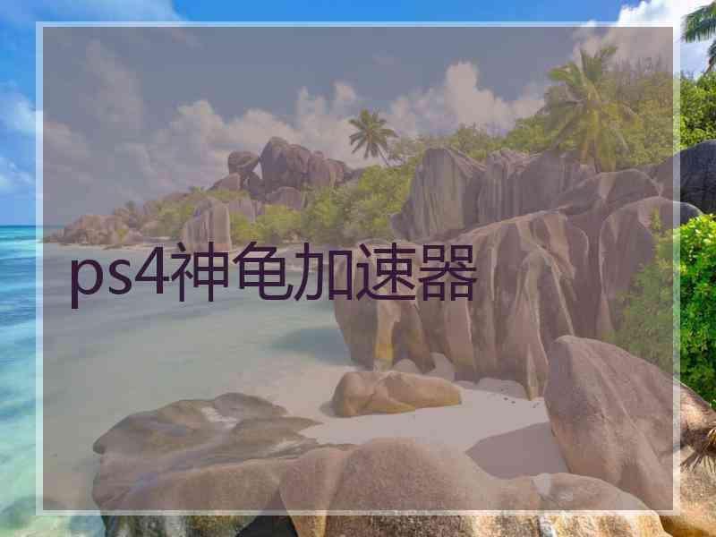 ps4神龟加速器