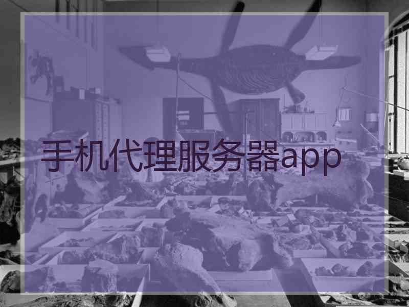 手机代理服务器app