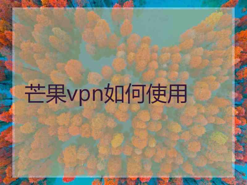 芒果vpn如何使用