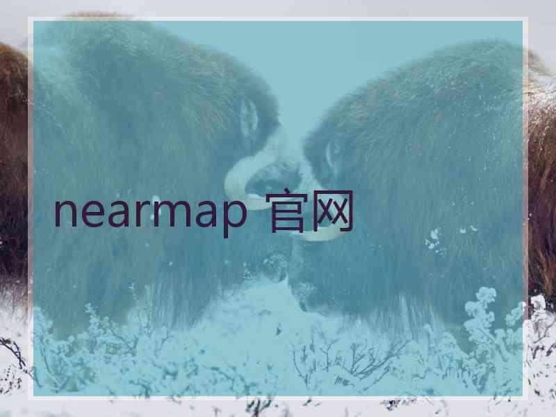 nearmap 官网