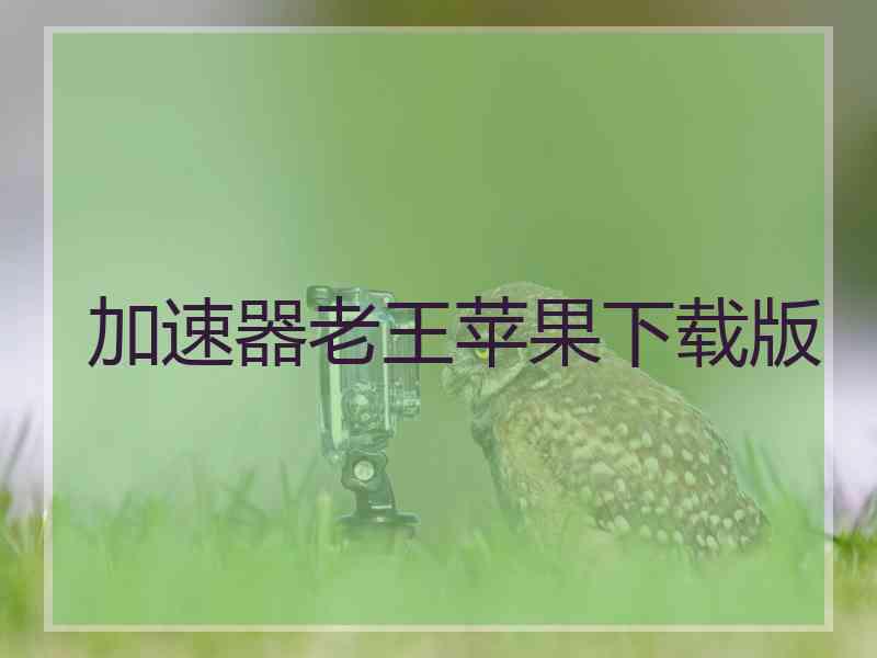 加速器老王苹果下载版