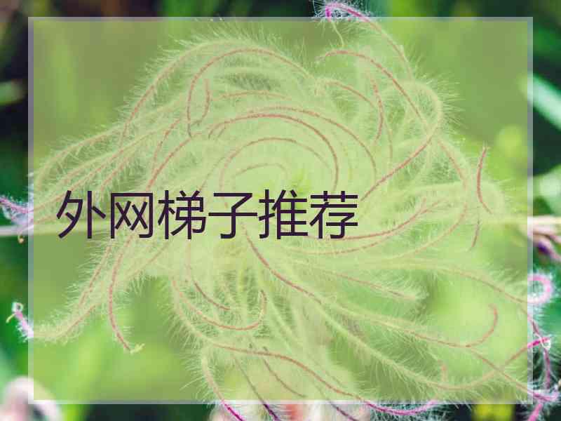 外网梯子推荐