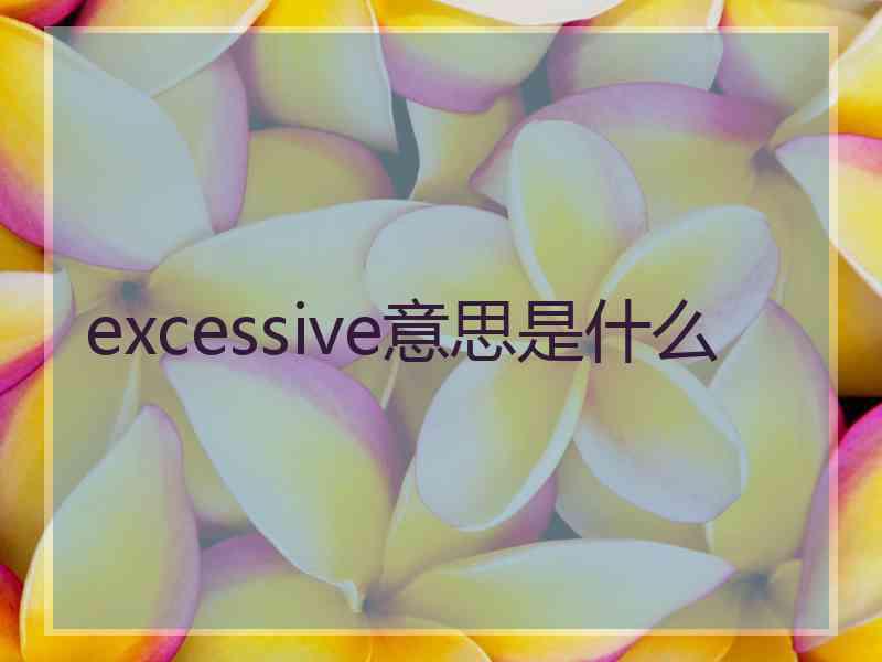 excessive意思是什么