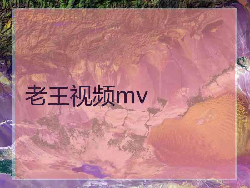 老王视频mv